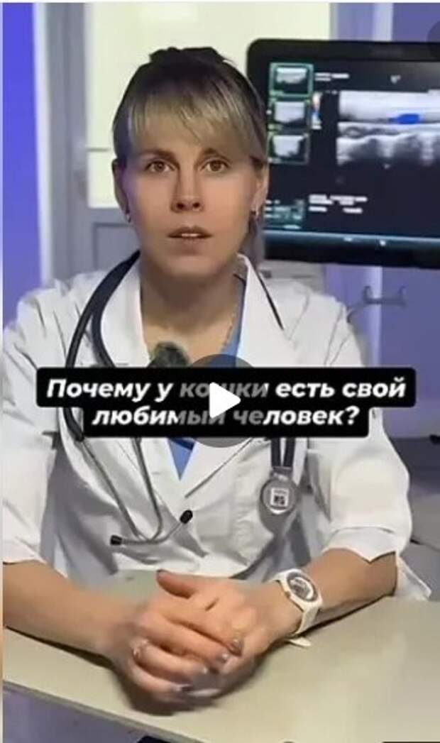 Почему у кошки появляется определённый человек, к которому она испытывает особую