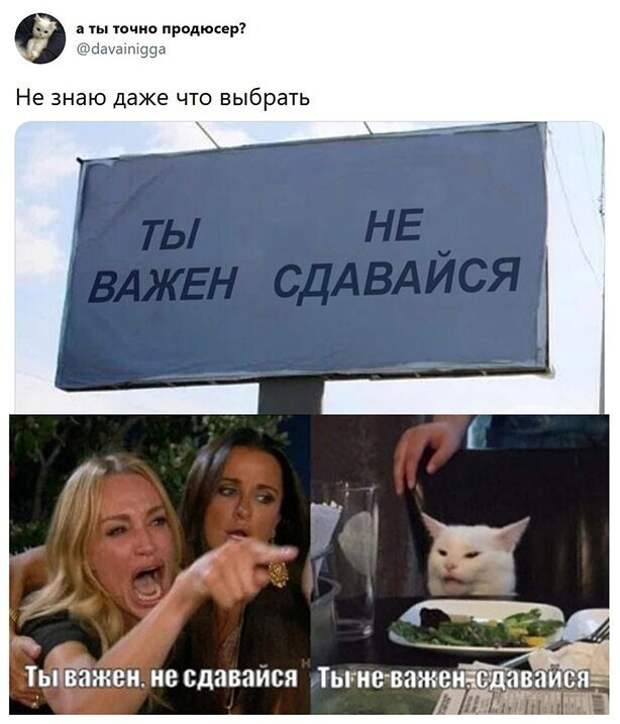 Скрины из соцсетей