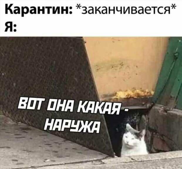 Смешные комментарии. Подборка chert-poberi-kom-chert-poberi-kom-07410623082020-1 картинка chert-poberi-kom-07410623082020-1