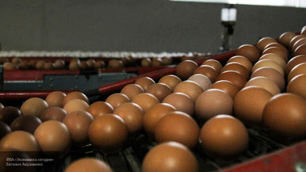 Эксперты проверили яйца известных производителей