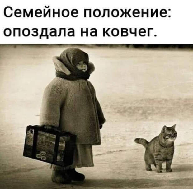 Разговор двух подруг: — Мой муж постоянно разговаривает во сне, просто жуть!...