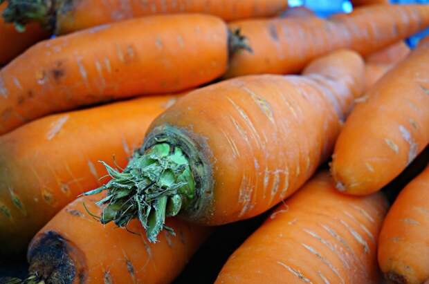 Морковь и свеклу нельзя сушить на солнце, как картошку.