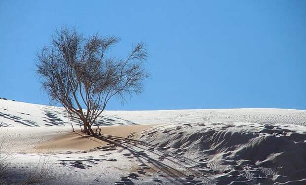 Пустыню Сахара разукрасили снежные узоры