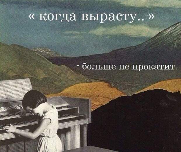 Колкий юмор Колкий юмор