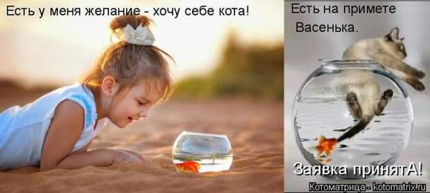 Котоматрицы