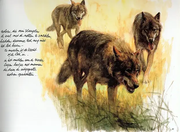 �������� ��� ���������.