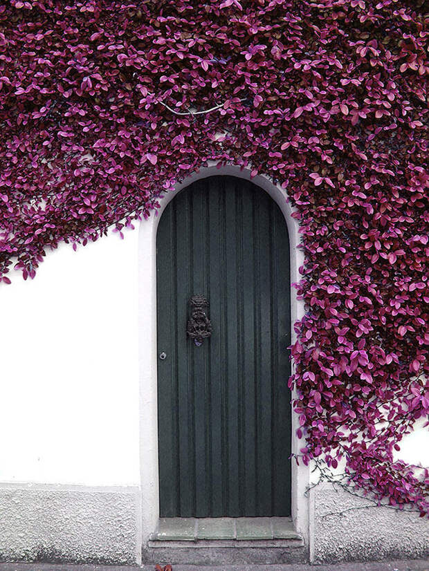 Великолепные входные двери, ведущие к счастью