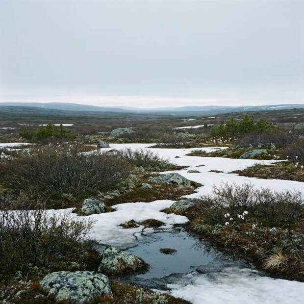 Семья на снегоходе застряла в тундре в 40-градусный мороз и чудом выжила