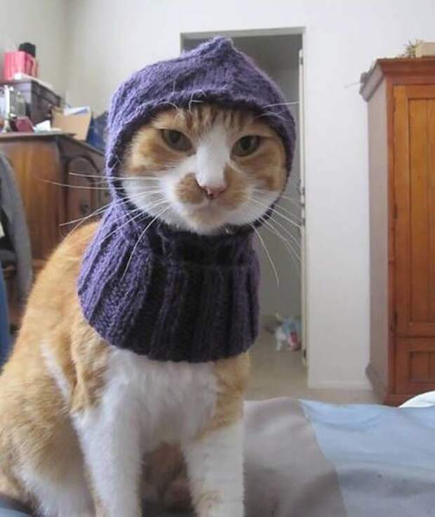 Прикольные картинки