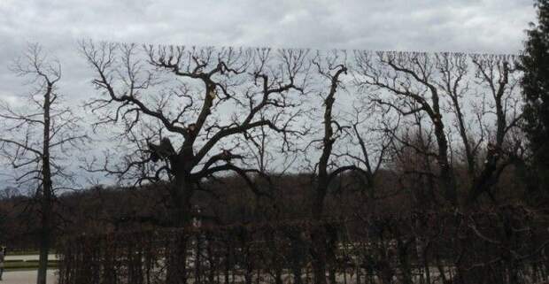 Copy + Past или сбой в матрице Copy Past или сбой в матрице