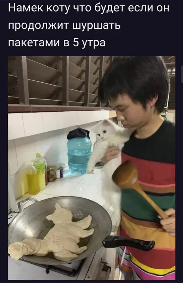 Подборка позитива на начало недели - отборный юмор