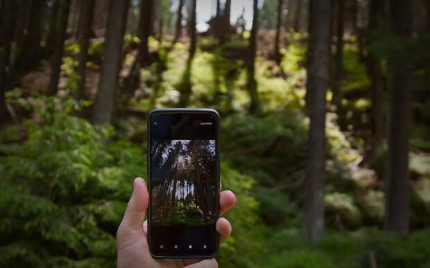 рт-селфи.jpg рт-селфи.jpg