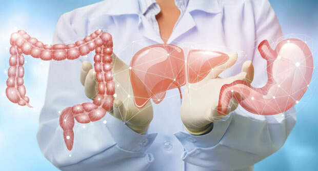 ЖКТ после 45: 3 дня к здоровому пищеварению без таблеток, операций и клизм