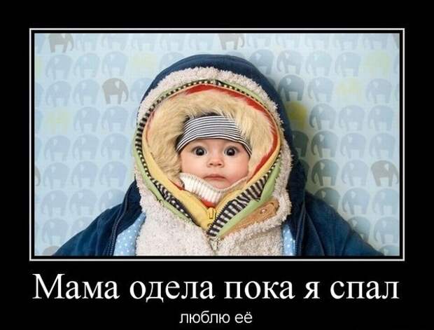 Весёлые демотиваторы (65 фото)