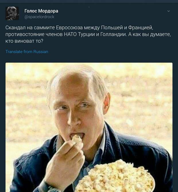 xXrxohPJBhk.jpg