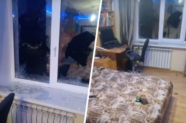 В Ульяновске соседи напали на участника СВО и забросали его квартиру камнями