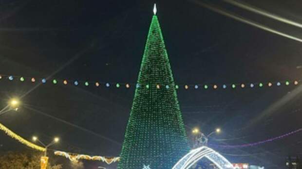 Новогодняя елка в Барнауле / Фото: amic.ru