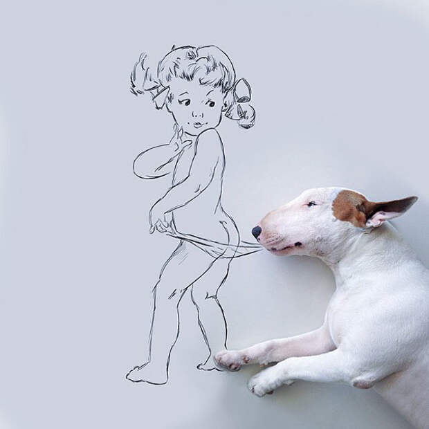 забавные рисунки с бультерьером