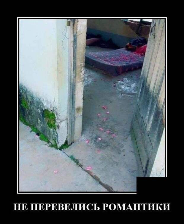demotivatory-demotivator-smeshnye-demotivatory-demotivator-so-smyslom