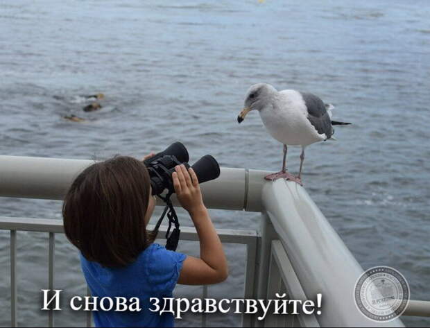 И снова здравствуйте!