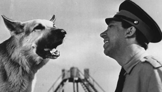 Кадр из к/ф «Ко мне, Мухтар!» (1964). | Фото: time2forex.ru.