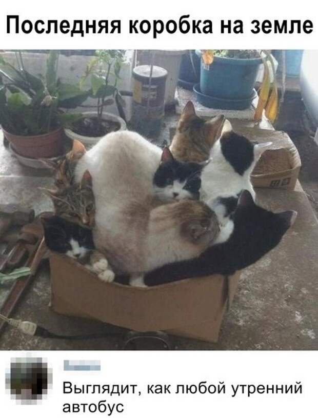 всякостей тут