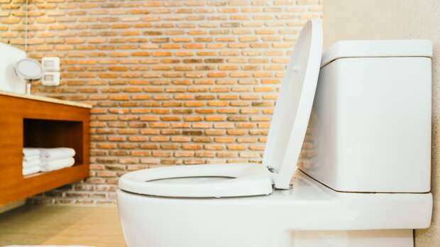 Белоснежный унитаз за 15 минут: простые советы от сантехника