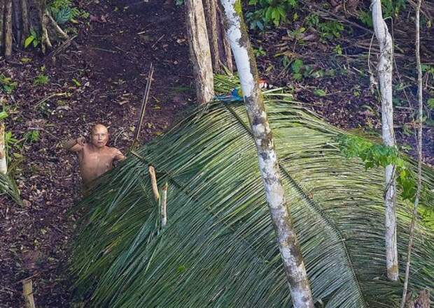 Фотограф нечаянно запечатлел амазонское племя, все еще не подозревающее о современной цивилизации