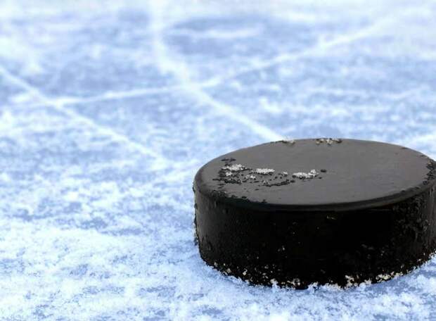 Российским хоккеистам позволят въехать в Чехию на матчи НХЛ
