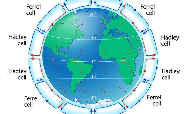 Фото: Shutterstock