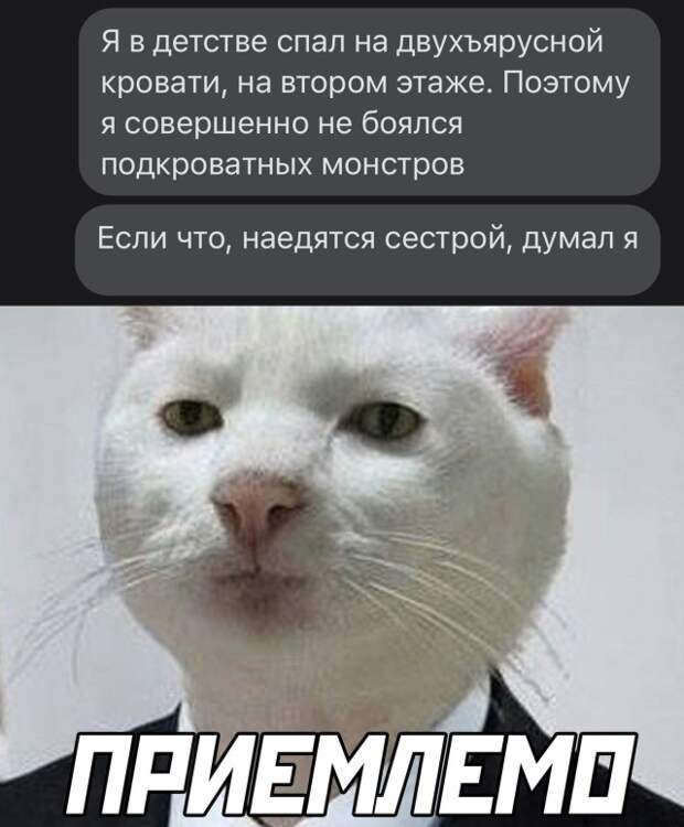 Смешные картинки 31 декабря 2021 года