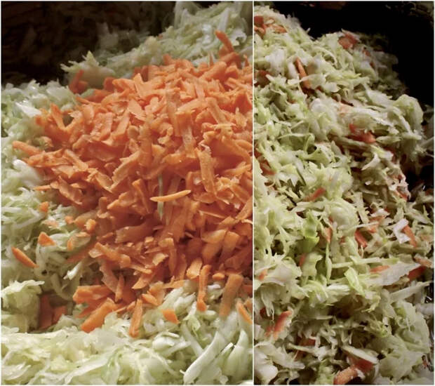 Квашеная капуста Еда, Рецепт, Квашеная капуста, Капуста, Длиннопост, Кулинария