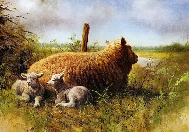 �������� ��� ���������.