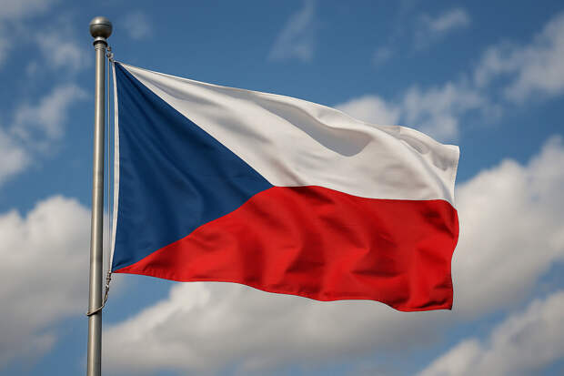 Стало известно, что Чехия отказалась платить за боеприпасы для ВСУ