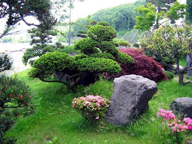 камень в японском саду ...