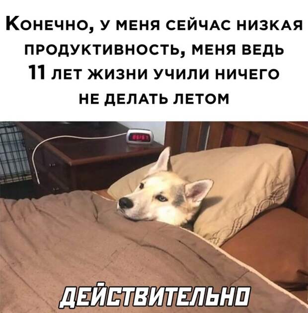 Смешные картинки 22 июля 2021