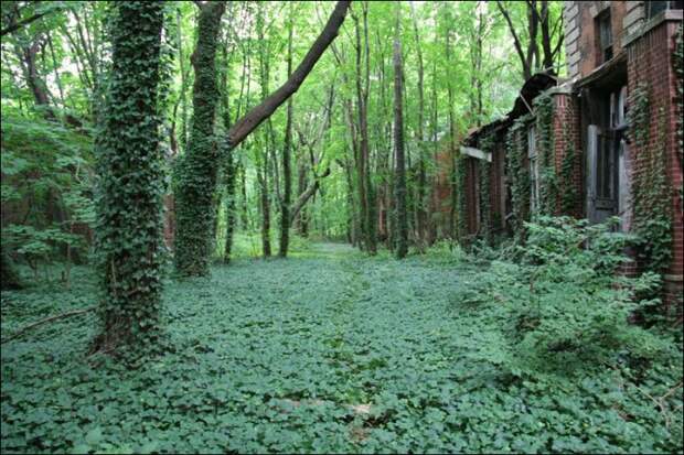 North Brother Island