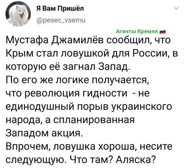 Политические комментарии из инета