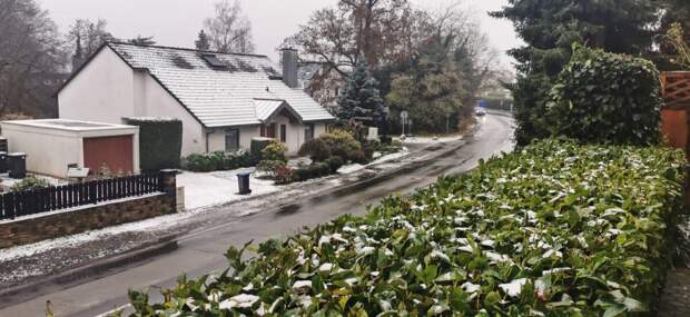 Фото из Германии, которое друг сделал для меня в начале зимы (декабрь 2020 года)