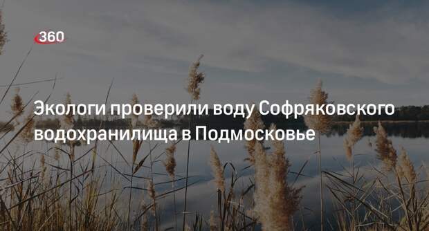 Экологи проверили воду Софряковского водохранилища в Подмосковье
