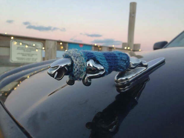 creative-car-owners-41-5805ebc962e0b__700