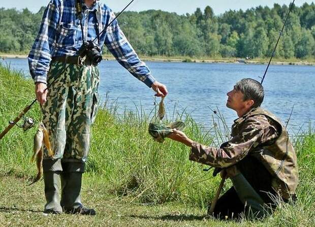 Два рыбака поймали 36