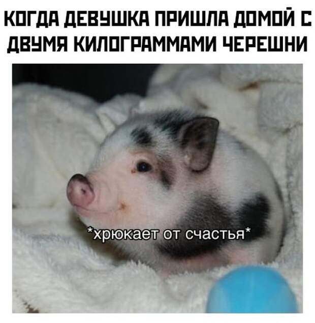 Смешные картинки вечер 24 июня 2021