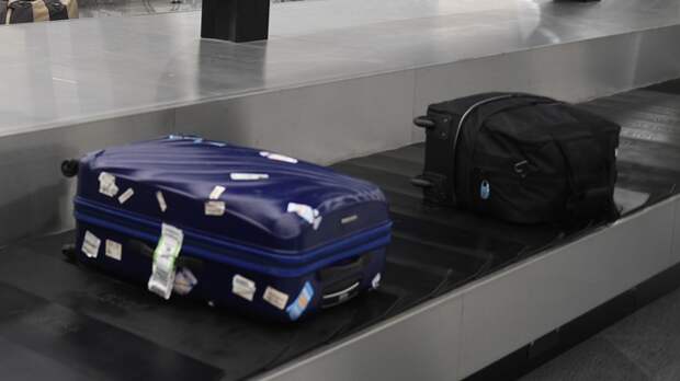Полёт за чемоданами стоимостью в 35 тысяч евро. В Австрии объяснили появление борта Шувалова
