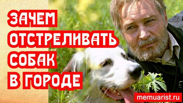 Почему диких собак нужно отстреливать – история Додо пиццы