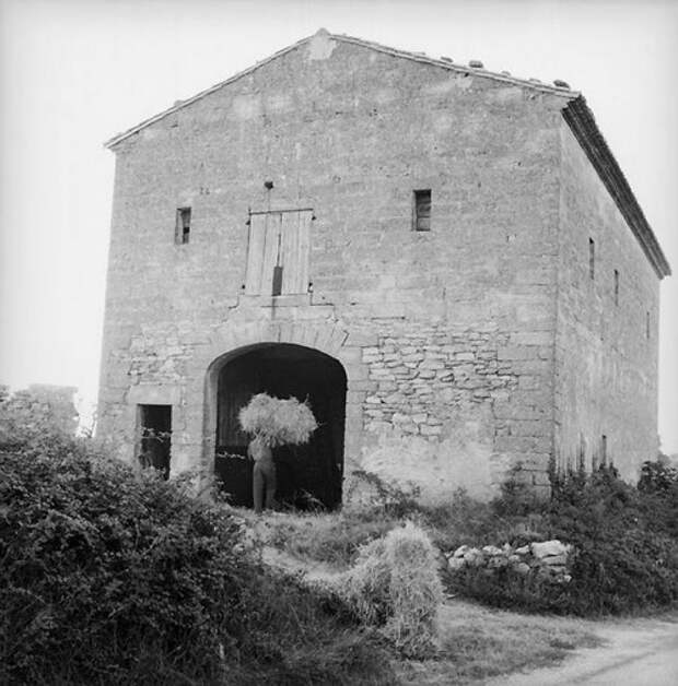 Юмористические уличные фотографии 1950-х годов Рене Мальтета (35 фото)