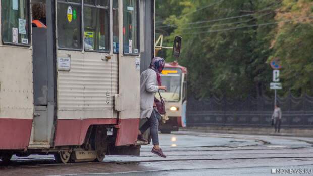 В Челябинске подешевели проездные на общественный транспорт, но купить их сложно