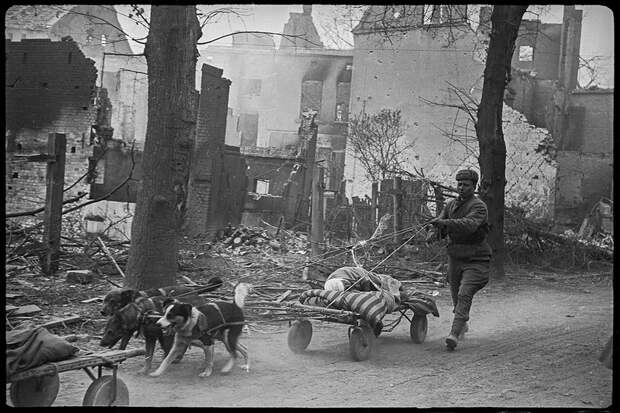 Фронтовые фотографии Второй мировой  Великая отечественая война, СССР, вторая мировая война, победа, фашизм, фотографии