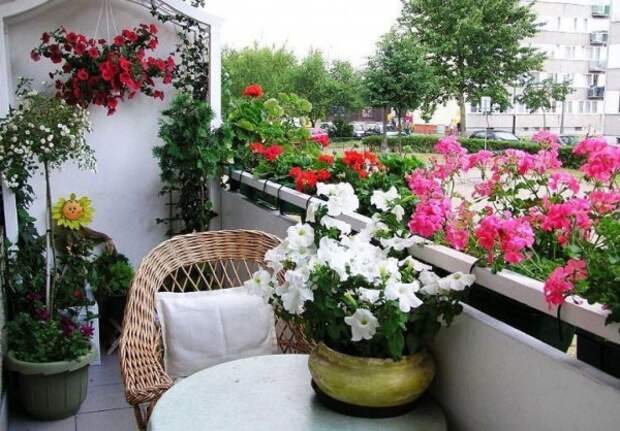 цветочный дизайн маленького балкона 