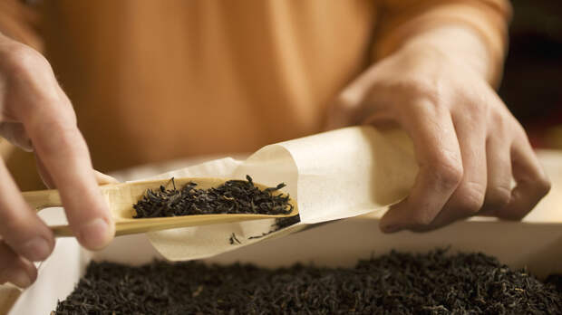 Диетолог Журавлёва рассказала о полезных свойствах чая